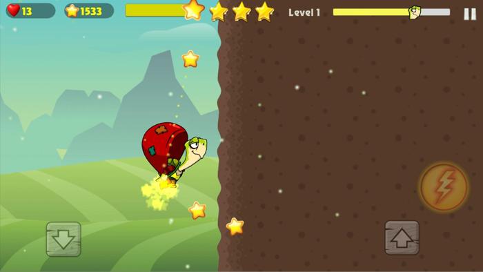 Turtle Hero Run