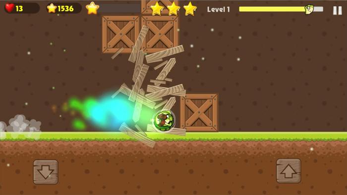 Turtle Hero Run